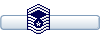 Senior Master Sergeant